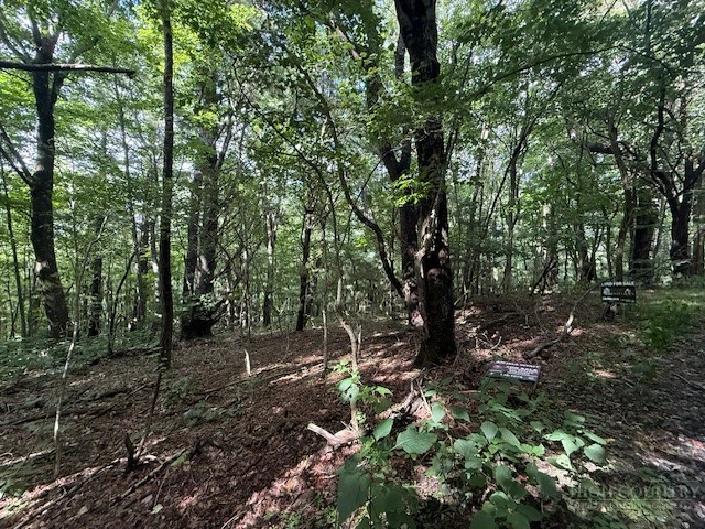 Image number 9 for the current listing