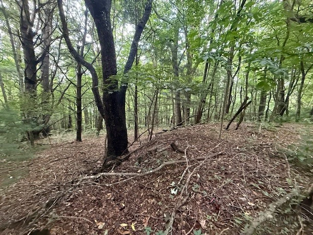 Image number 1 for the current listing