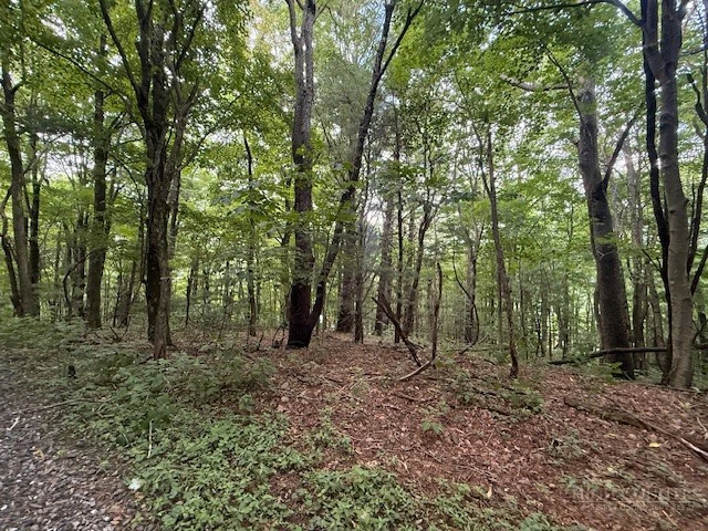 Image number 4 for the current listing