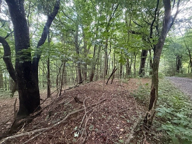 Image number 5 for the current listing