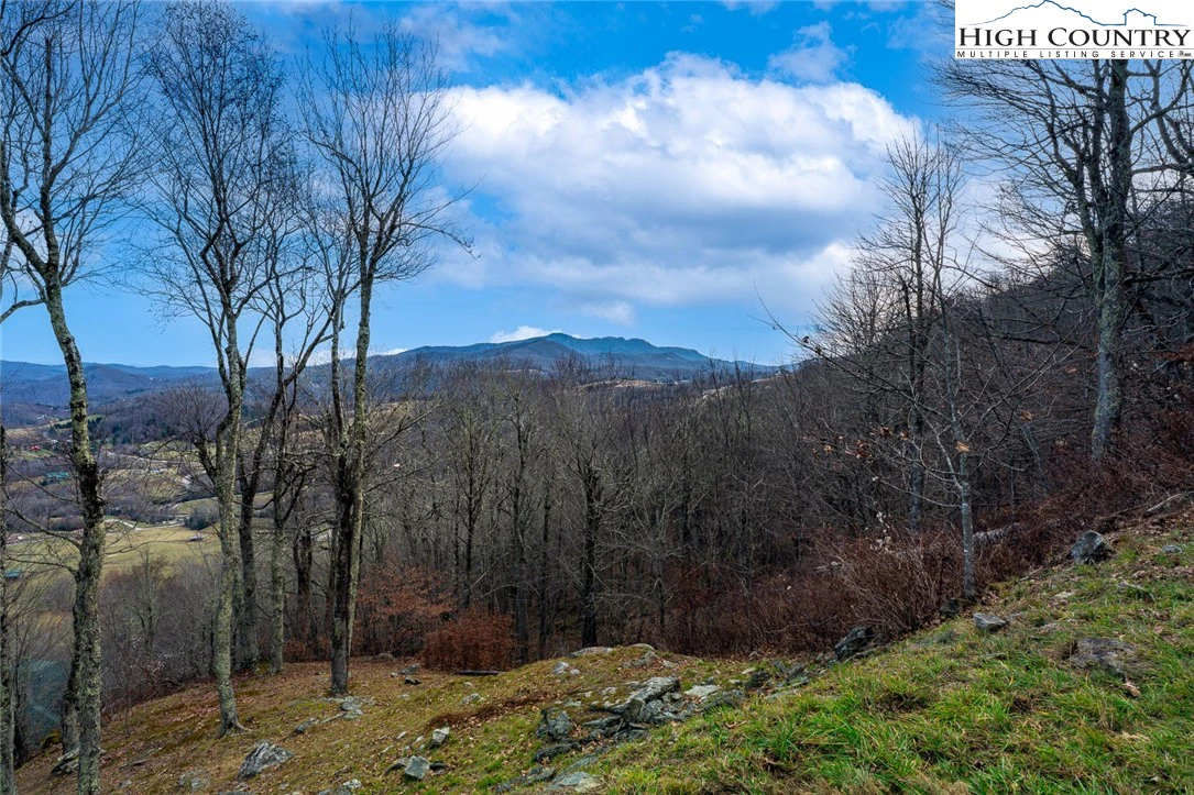 Image number 15 for the current listing