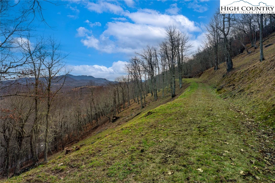 Image number 2 for the current listing