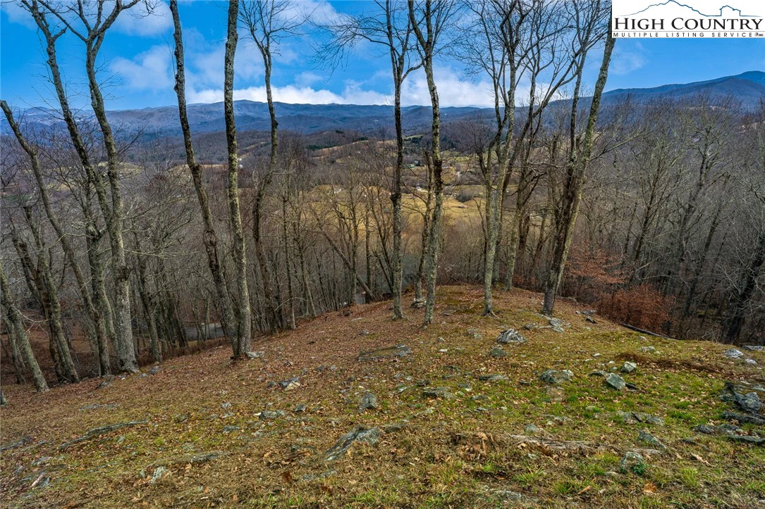 Image number 1 for the current listing