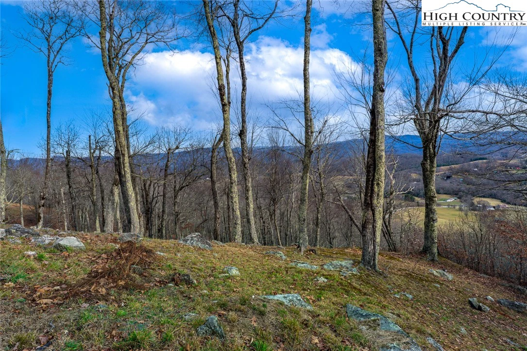 Image number 12 for the current listing