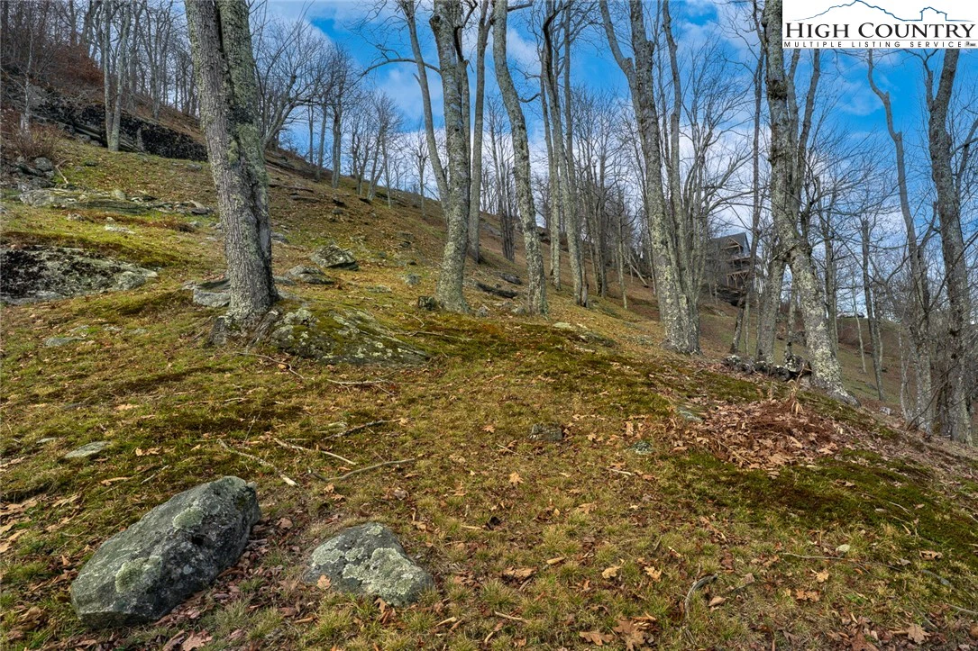 Image number 11 for the current listing