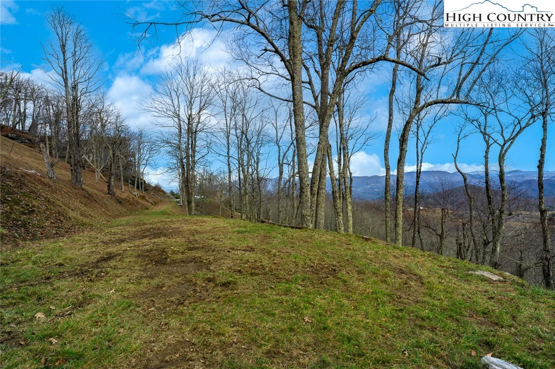 Image number 13 for the current listing