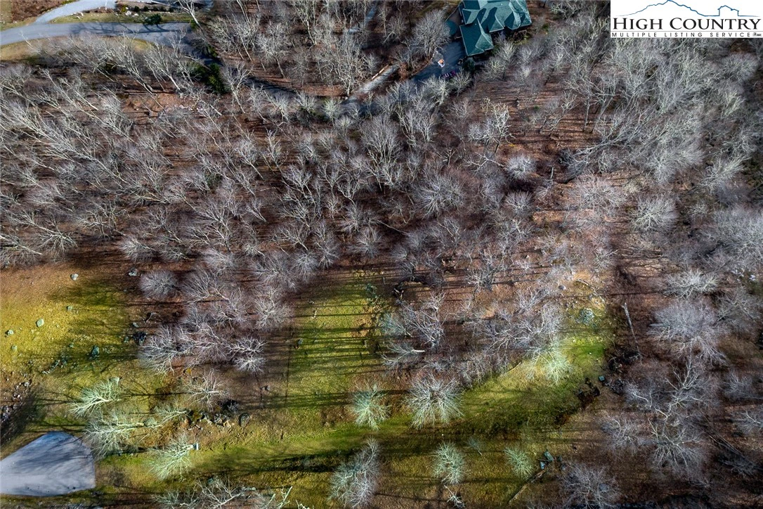 Image number 4 for the current listing