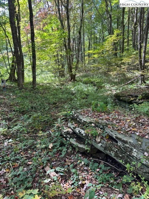 Image number 1 for the current listing