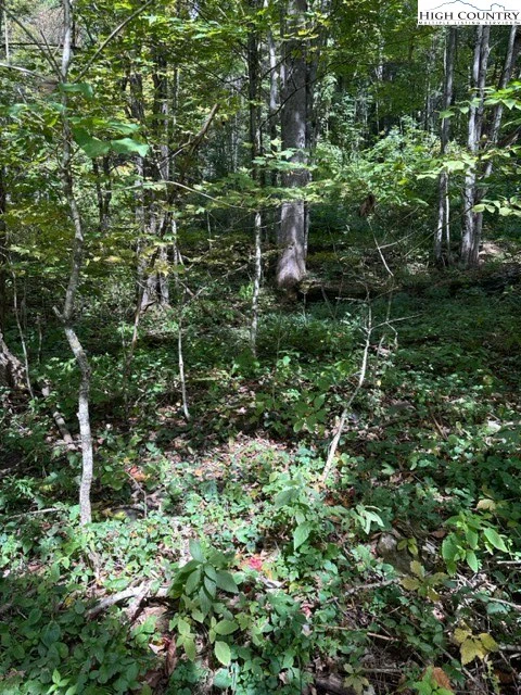 Image number 3 for the current listing