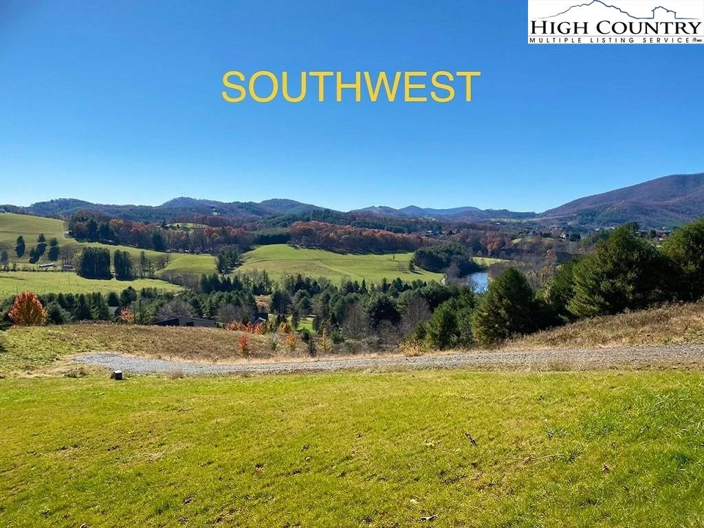 Image number 1 for the current listing