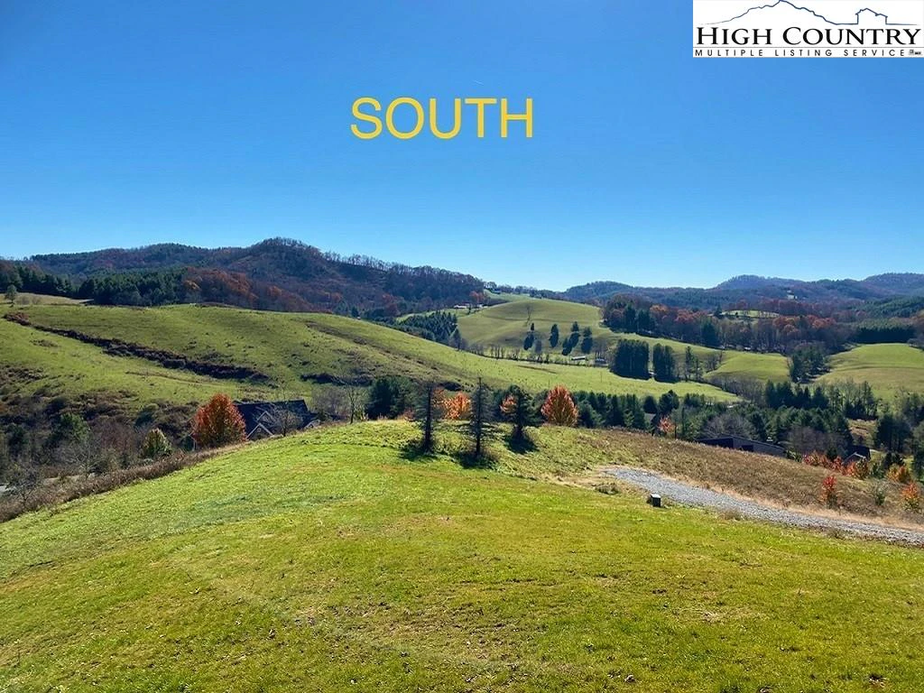 Image number 4 for the current listing