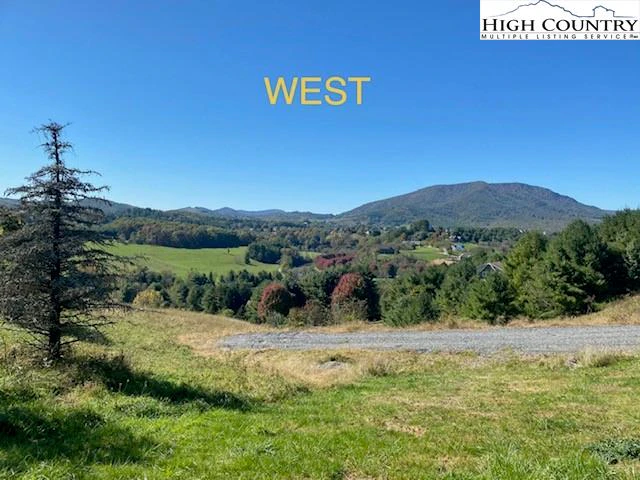 Image number 5 for the current listing