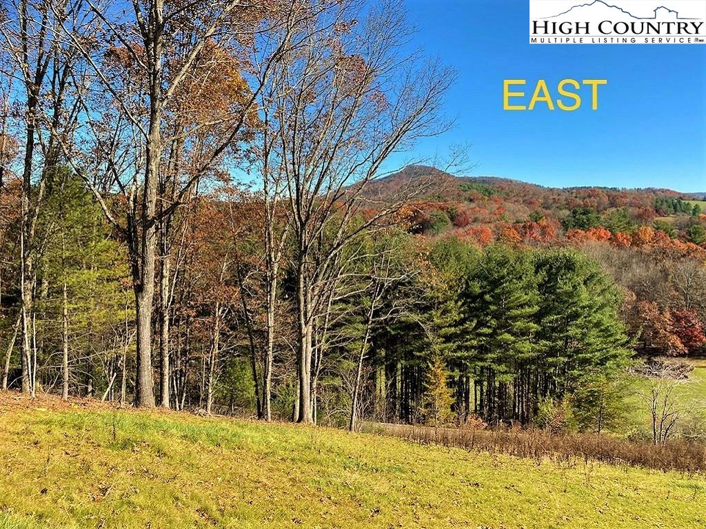 Image number 7 for the current listing