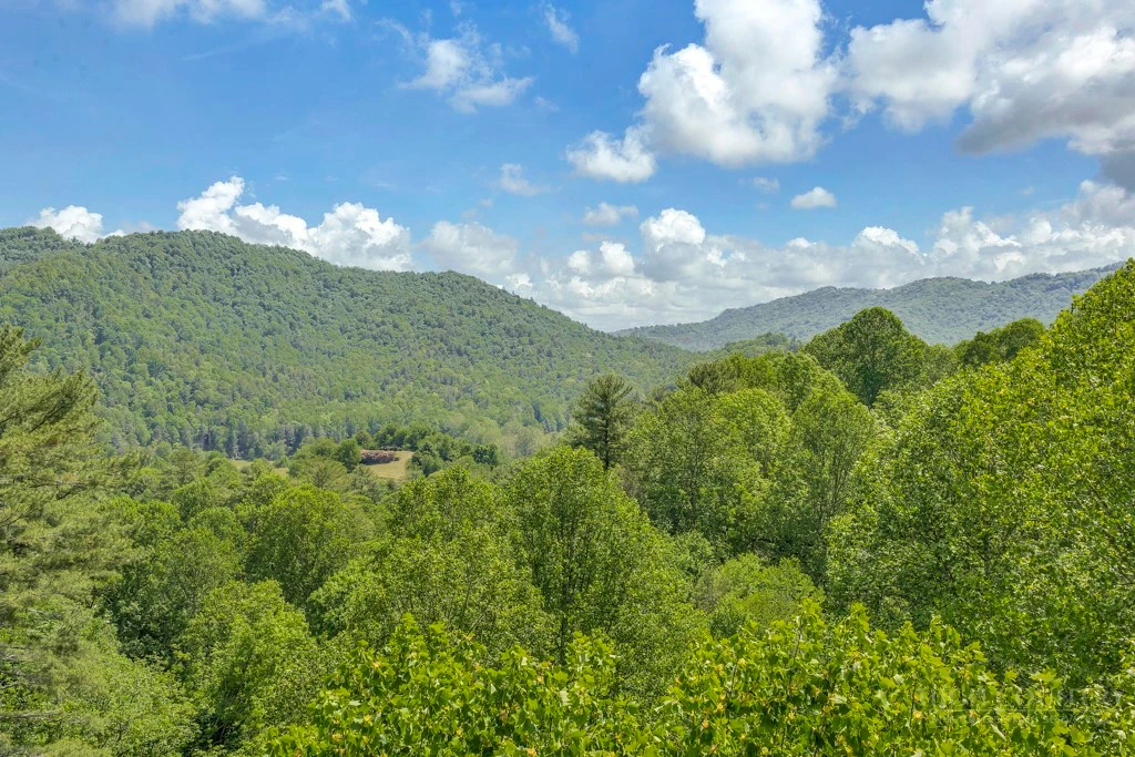 Image number 1 for the current listing