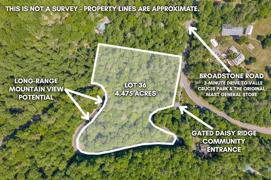 Image number 3 for the current listing
