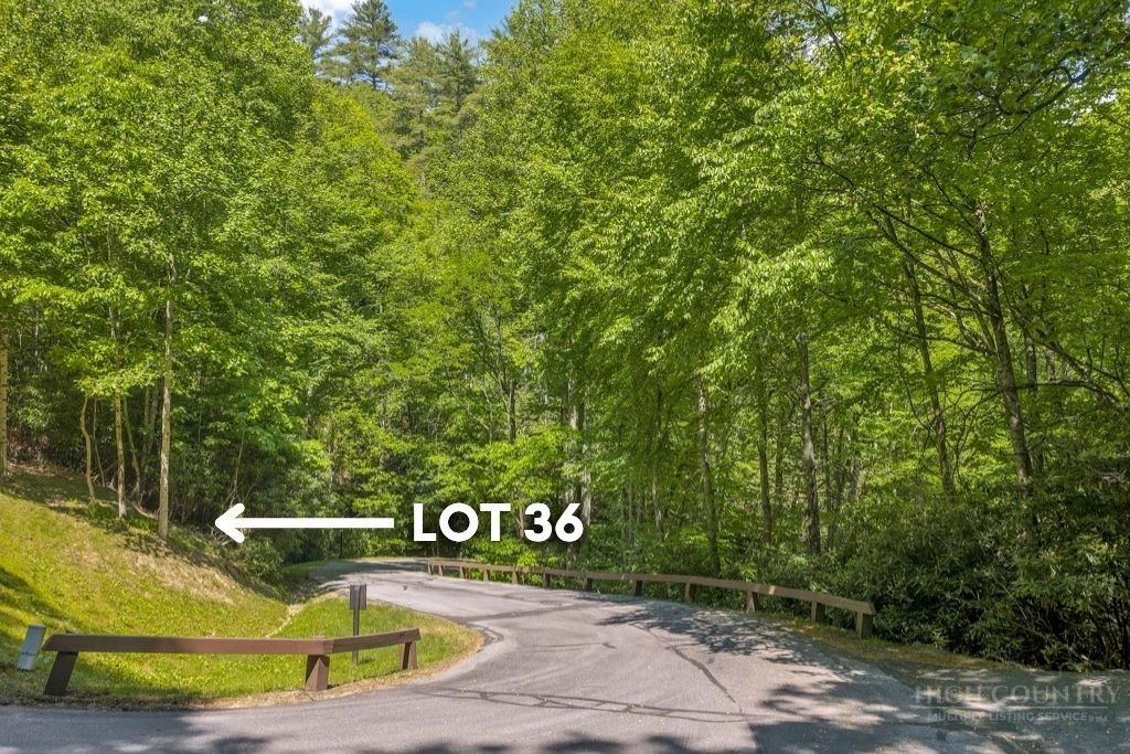 Image number 11 for the current listing