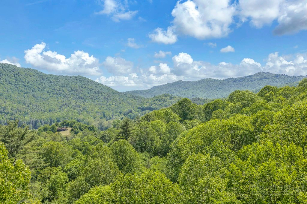 Image number 13 for the current listing