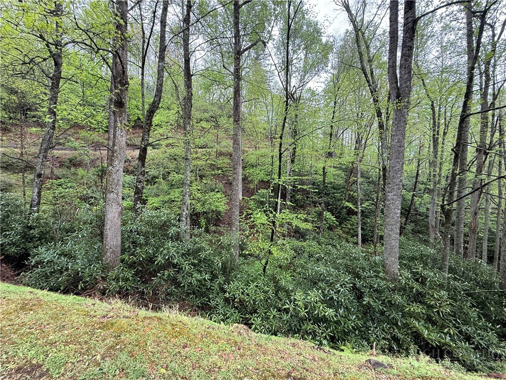 Image number 15 for the current listing