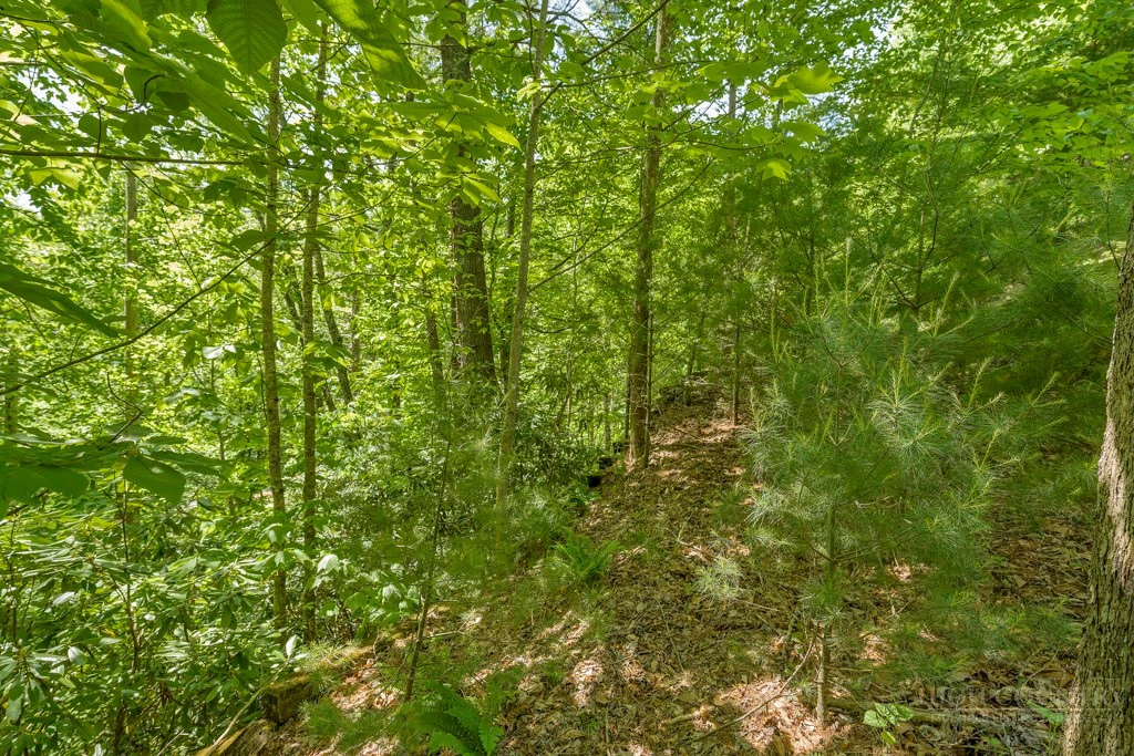 Image number 18 for the current listing