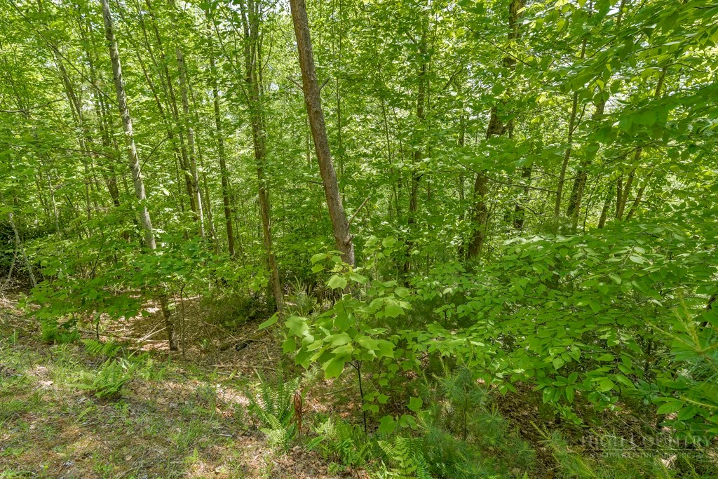 Image number 19 for the current listing
