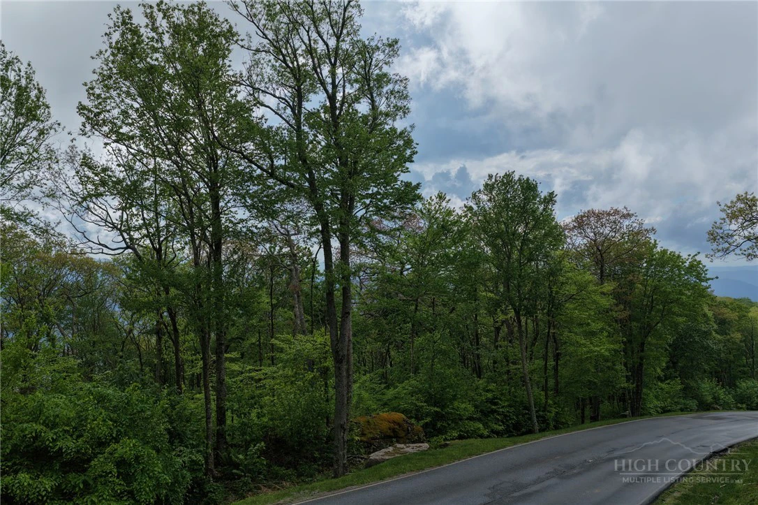 Image number 2 for the current listing