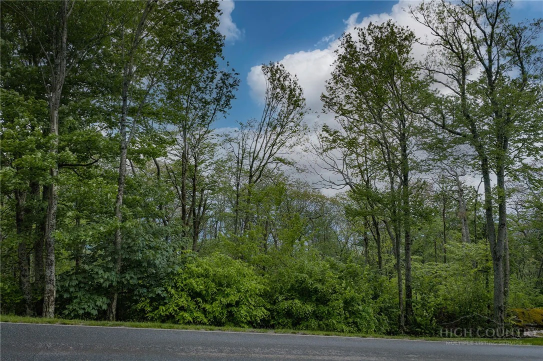 Image number 5 for the current listing
