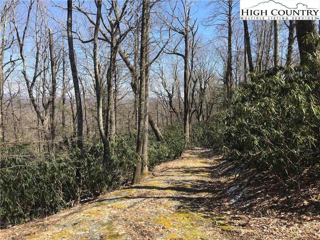 Image number 13 for the current listing