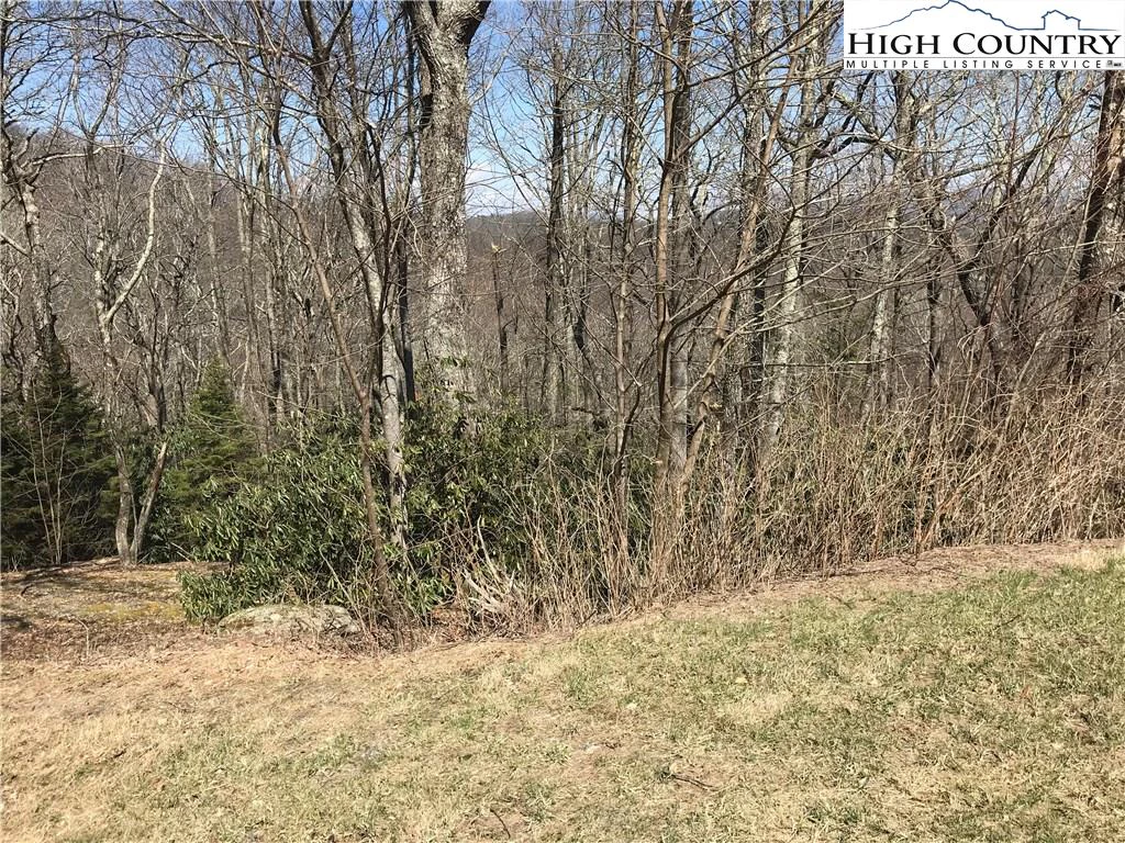 Image number 4 for the current listing