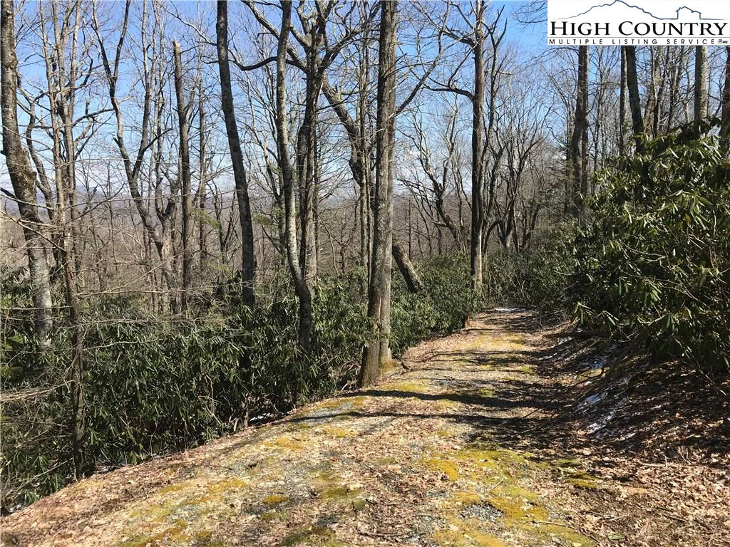 Image number 5 for the current listing