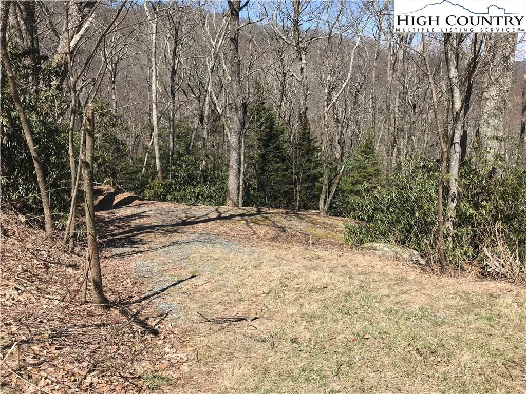 Image number 6 for the current listing