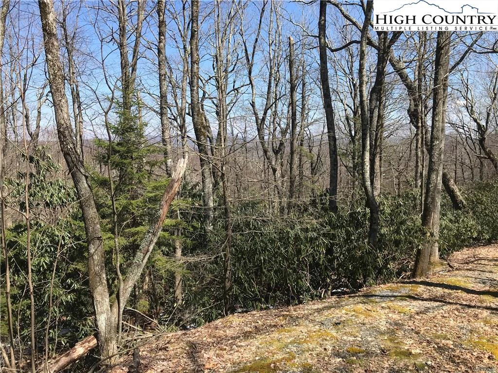 Image number 9 for the current listing