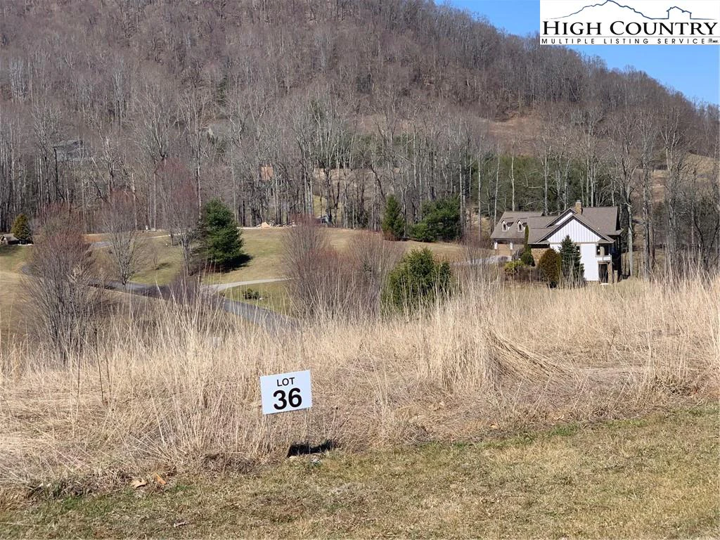 Image number 1 for the current listing