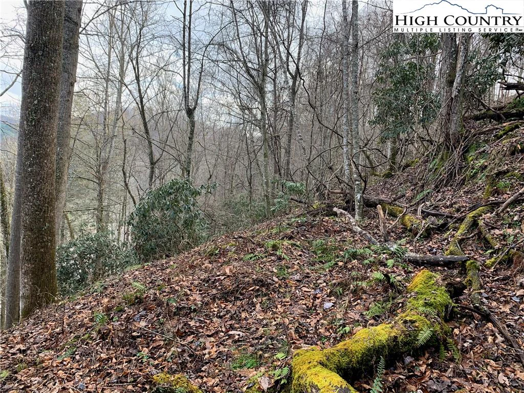 Image number 1 for the current listing