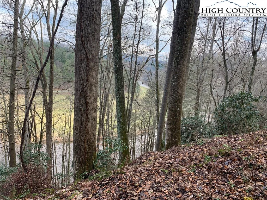 Image number 3 for the current listing
