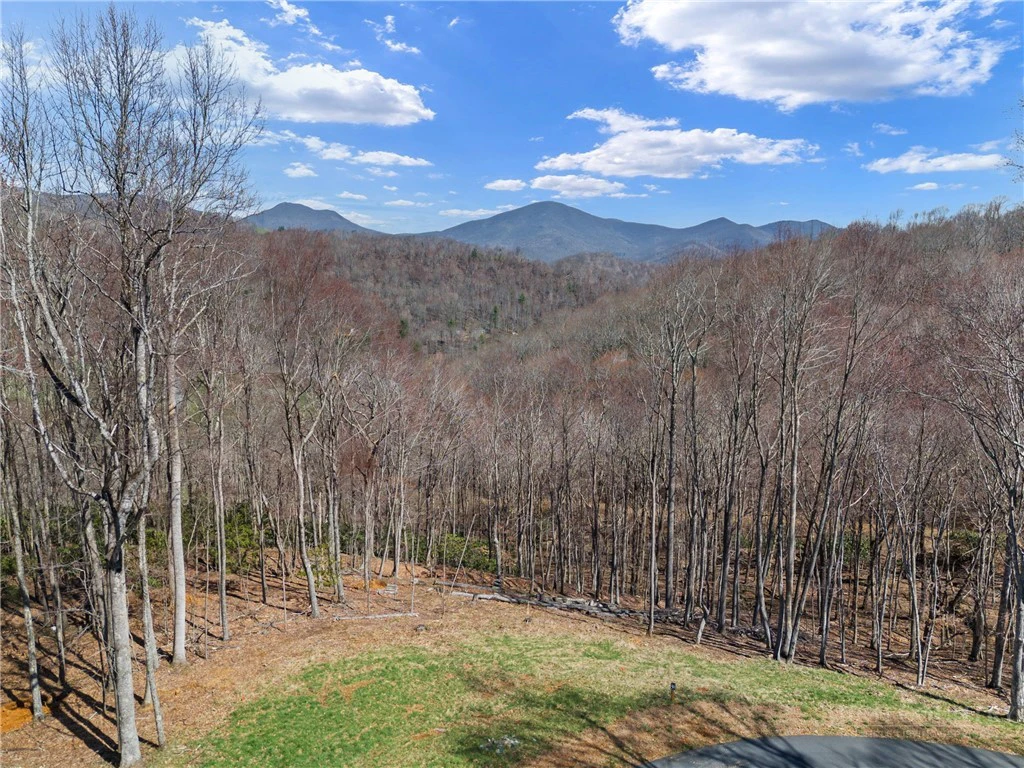 Image number 1 for the current listing