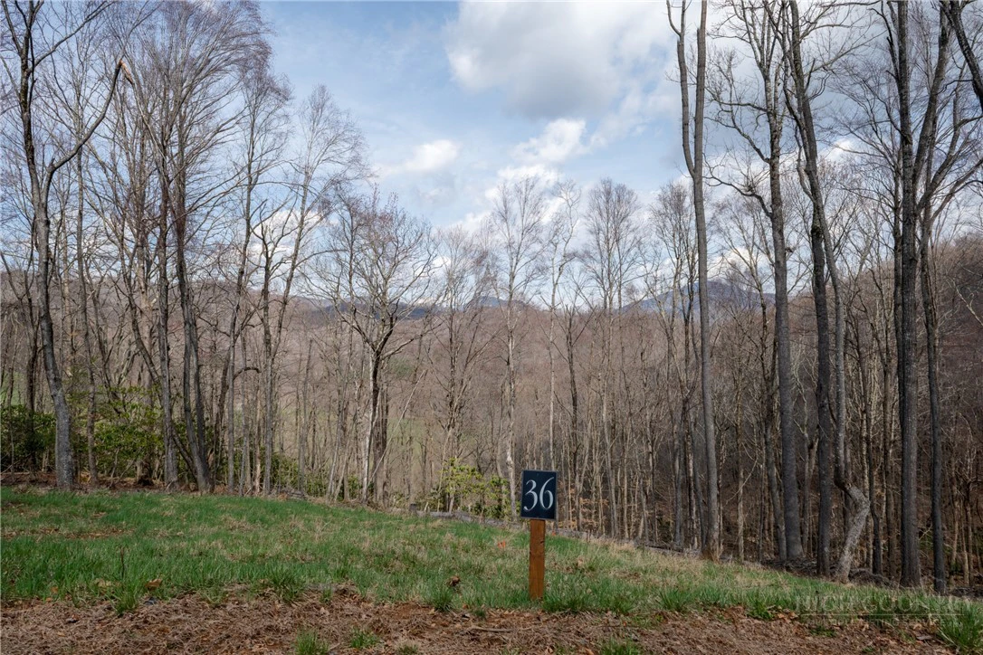 Image number 18 for the current listing
