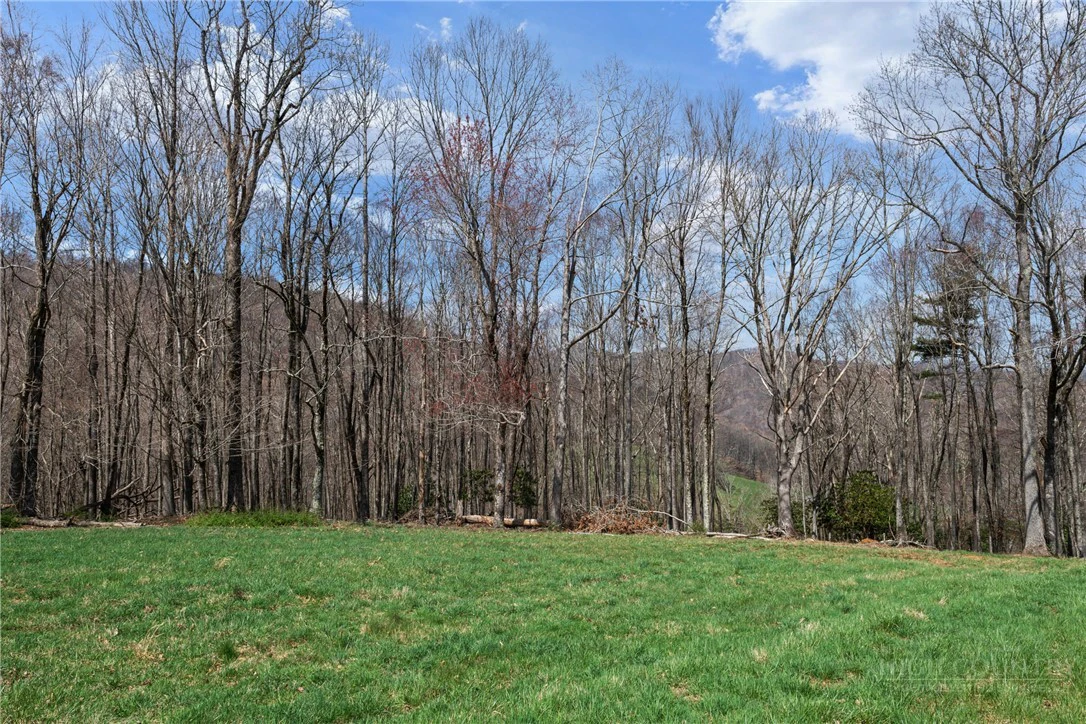 Image number 17 for the current listing