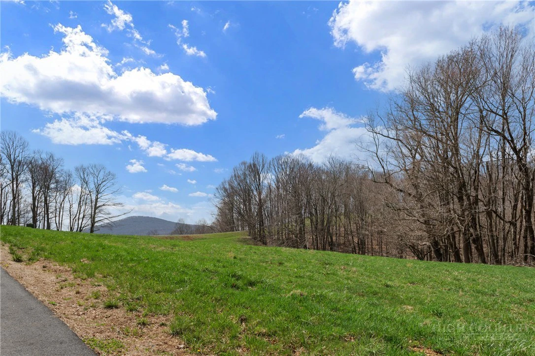 Image number 16 for the current listing