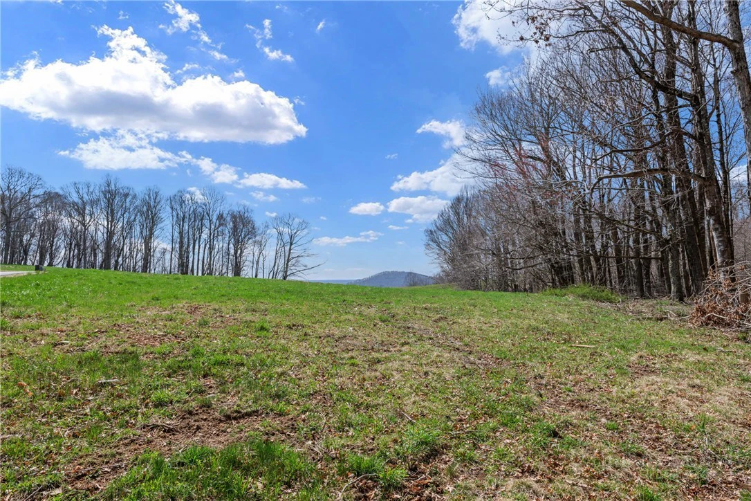 Image number 15 for the current listing
