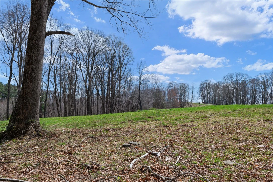 Image number 14 for the current listing