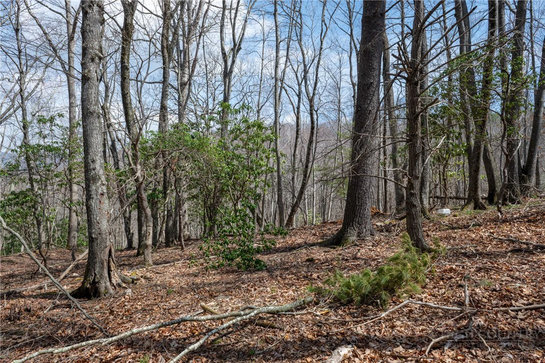 Image number 13 for the current listing