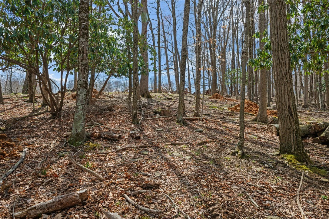 Image number 2 for the current listing