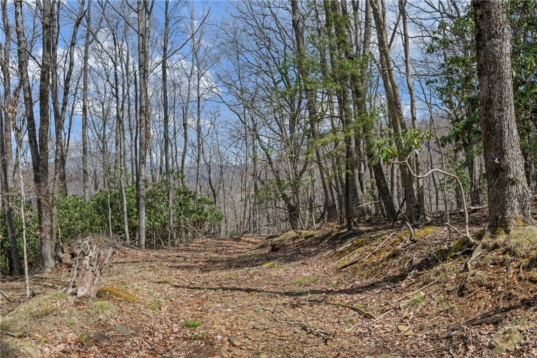 Image number 10 for the current listing