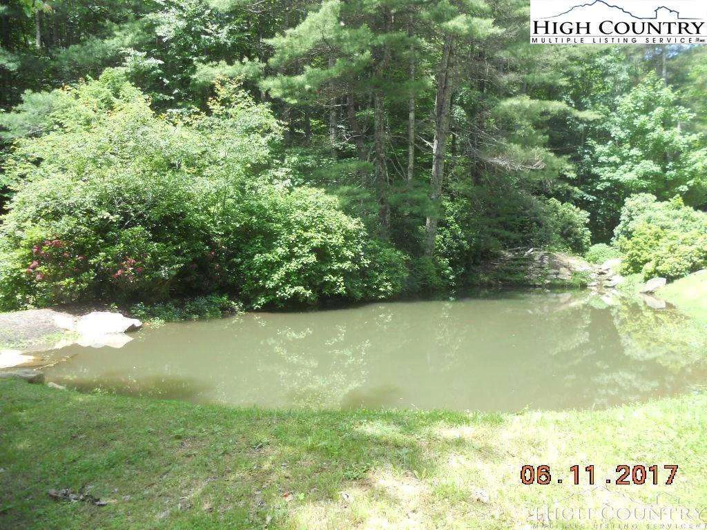 Image number 4 for the current listing