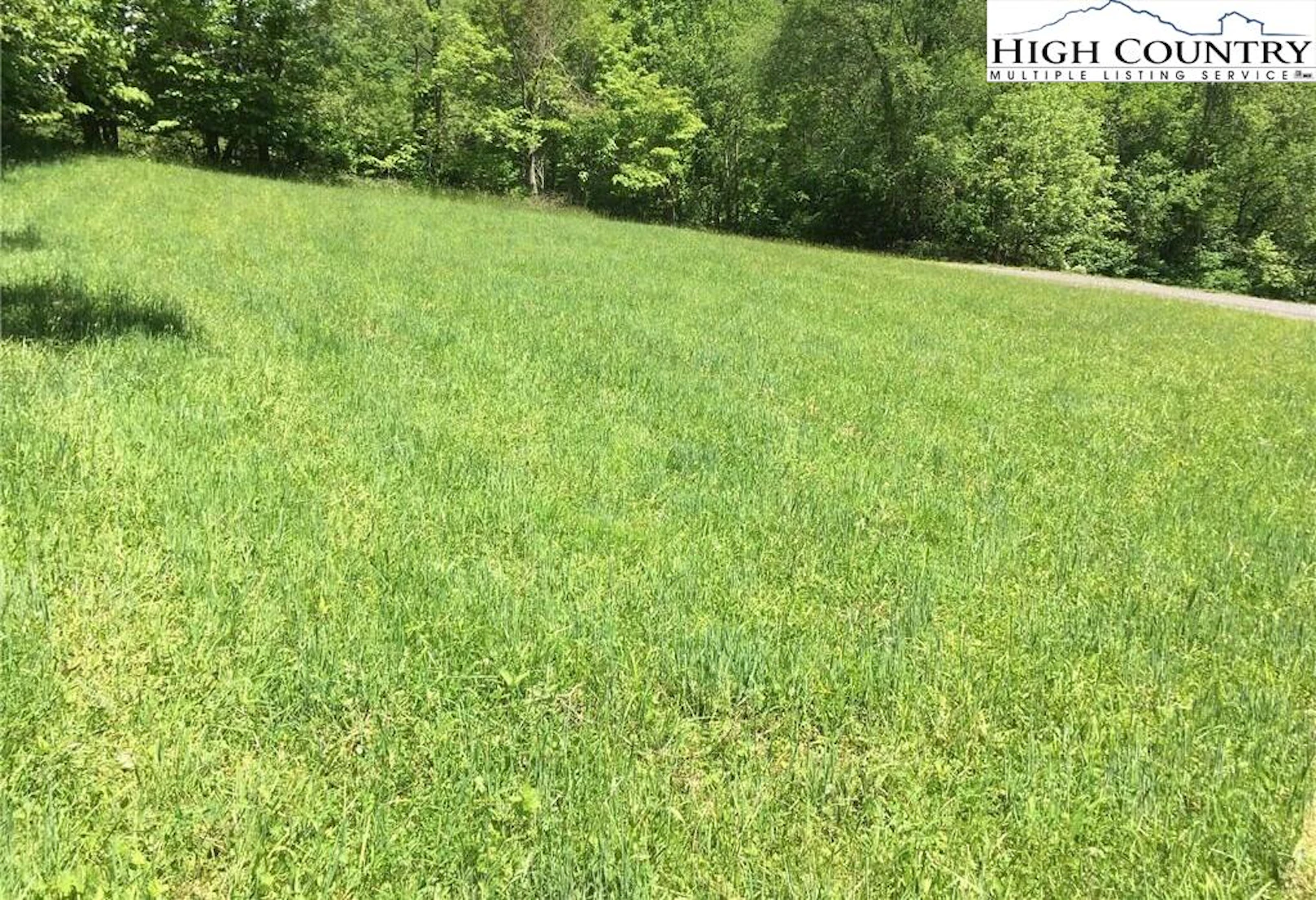 Image number 3 for the current listing
