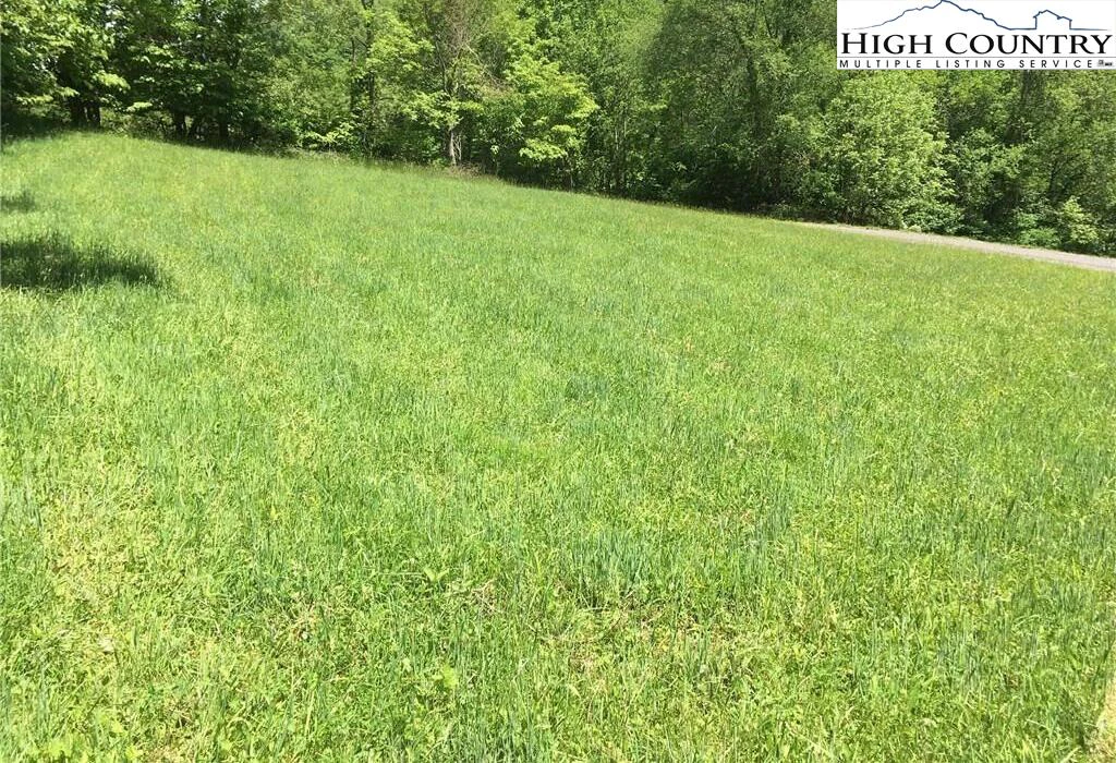 Image number 3 for the current listing