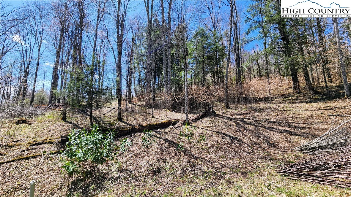 Image number 1 for the current listing