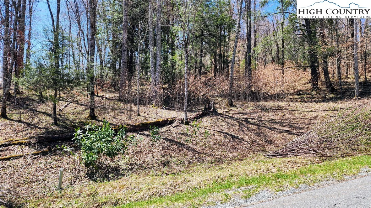 Image number 15 for the current listing