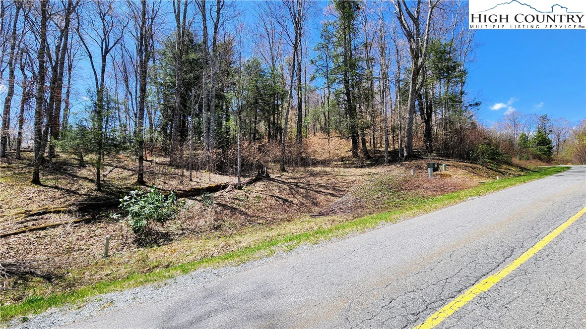 Image number 14 for the current listing