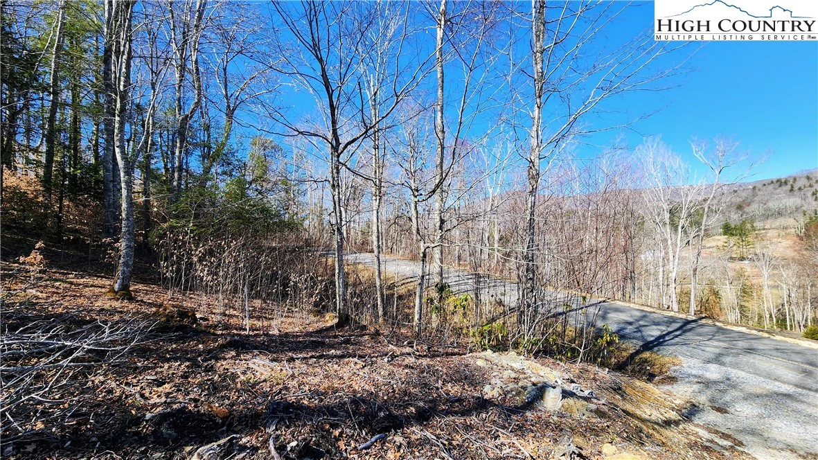 Image number 13 for the current listing